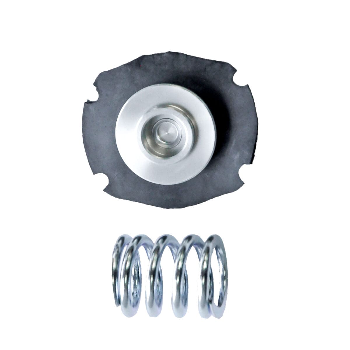 Rebuild Kit For F50106-3 Fuel Pressure Regulator - Image 1